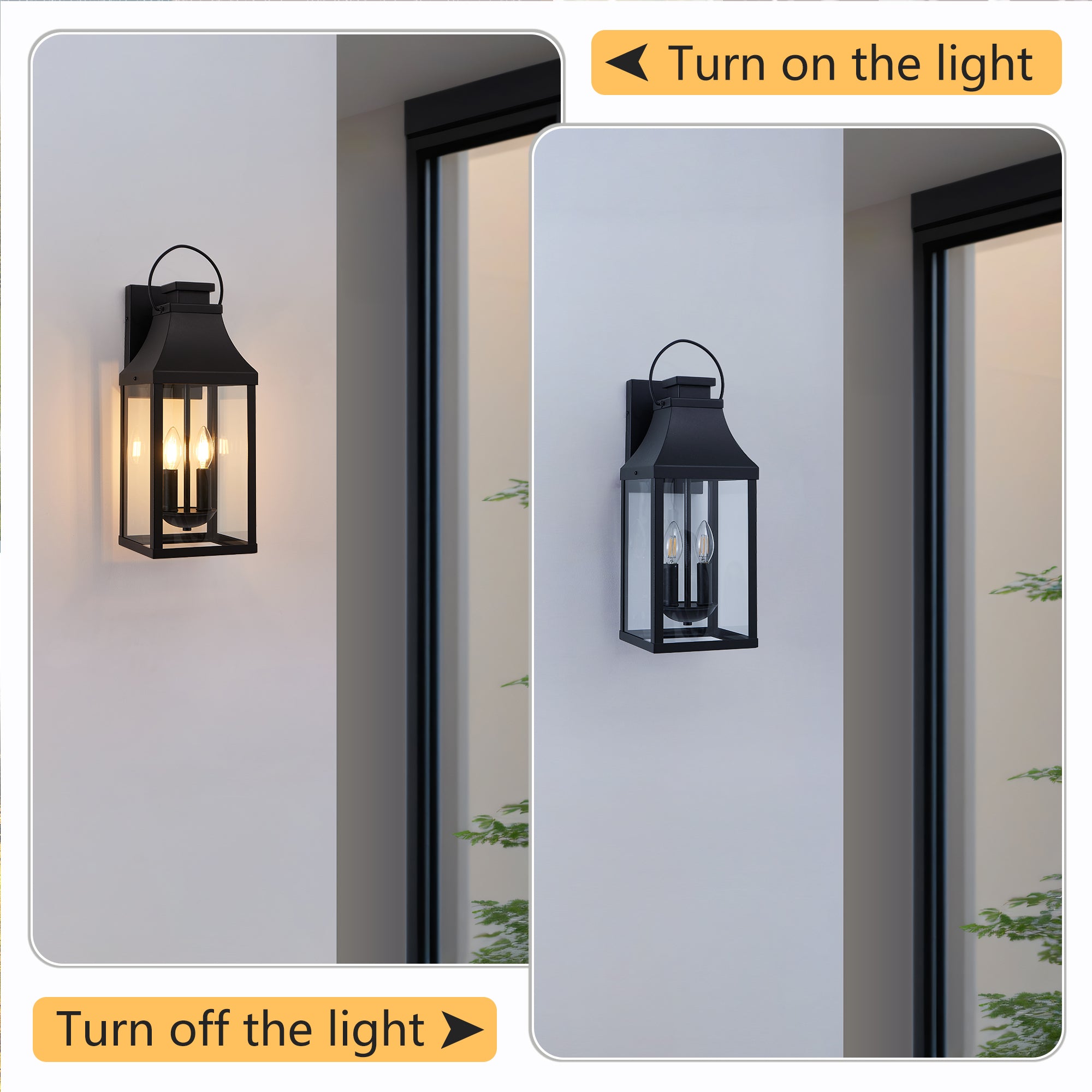 25950198