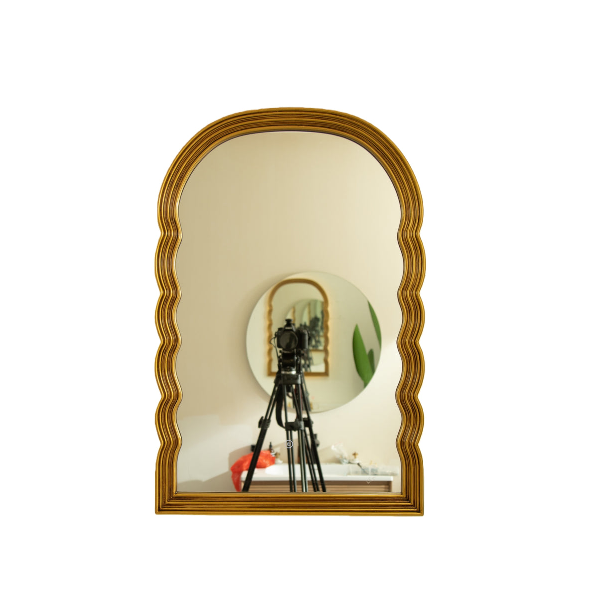 24 in Arched Mirror with Scalloped Sides and Light Ring