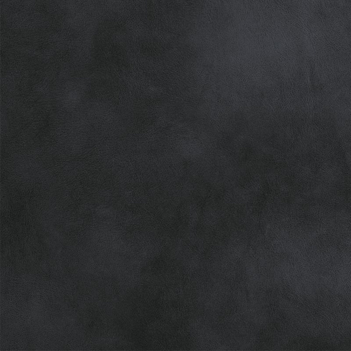 26375558