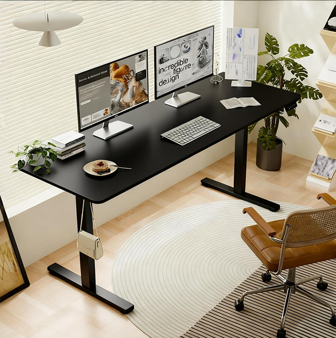 Modern Electric Standing Desk, 4 Memory Presets, USB-C, 55.1 in, Black