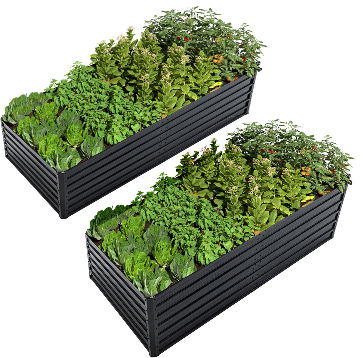 Black Metal Raised Garden Bed, Set of 2
