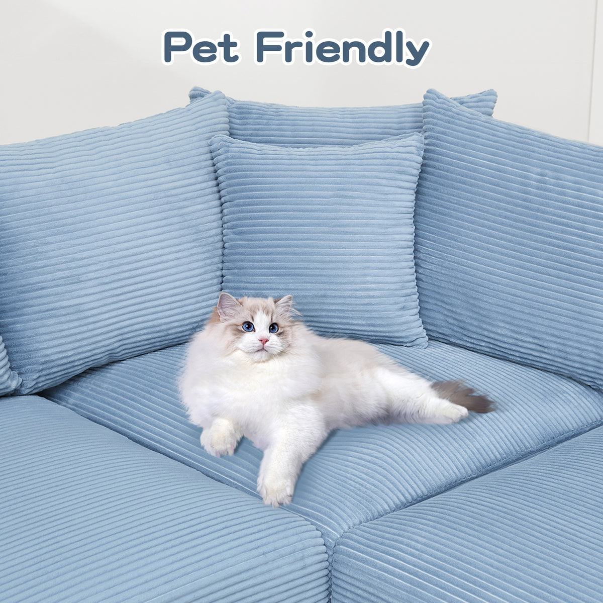 26351321