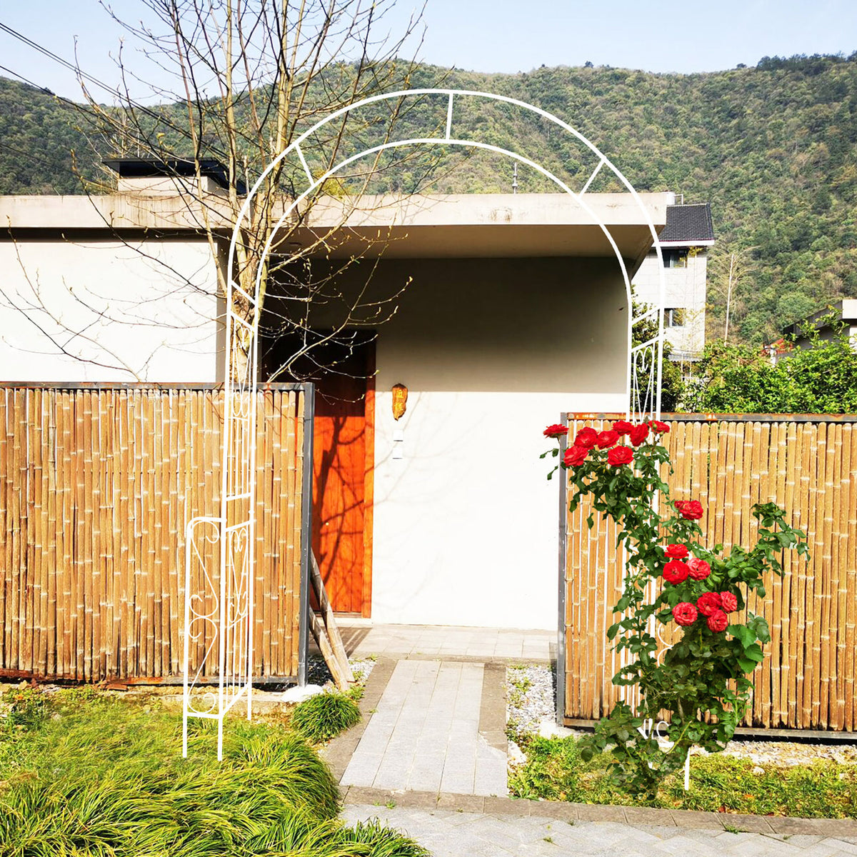 27192664