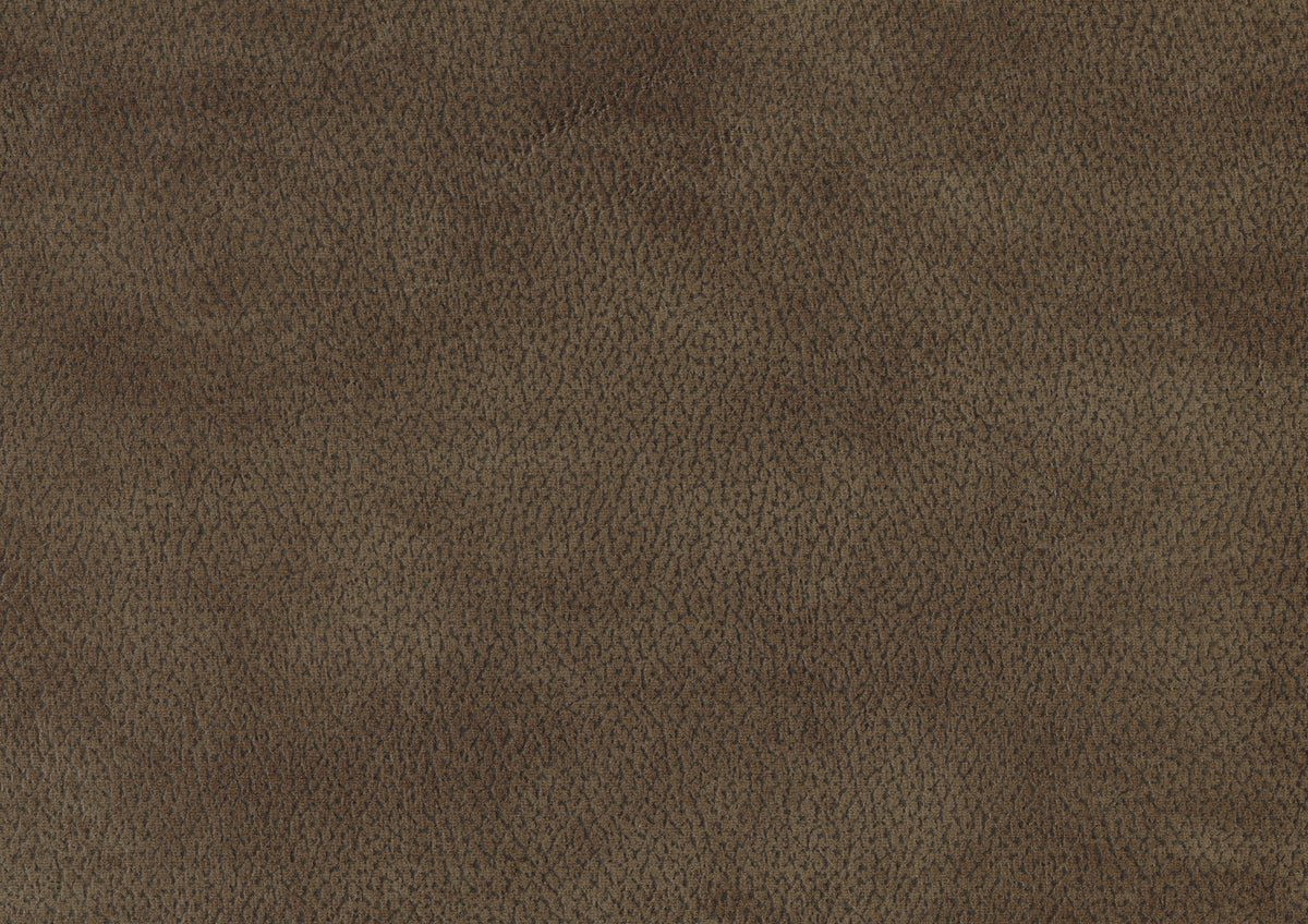26372278