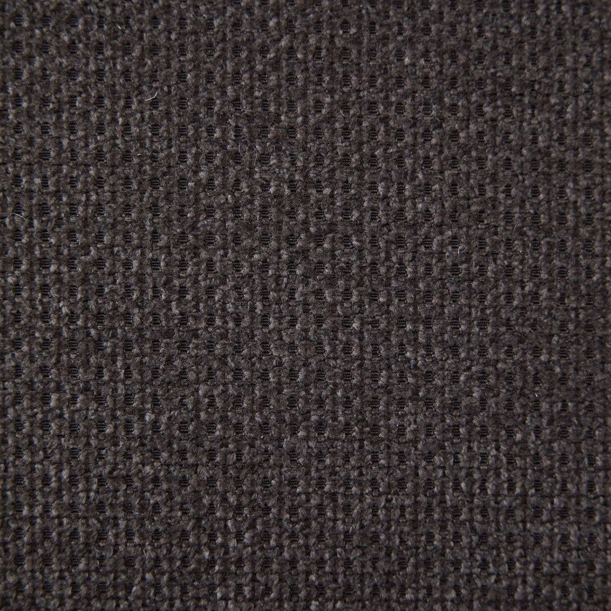 25818658